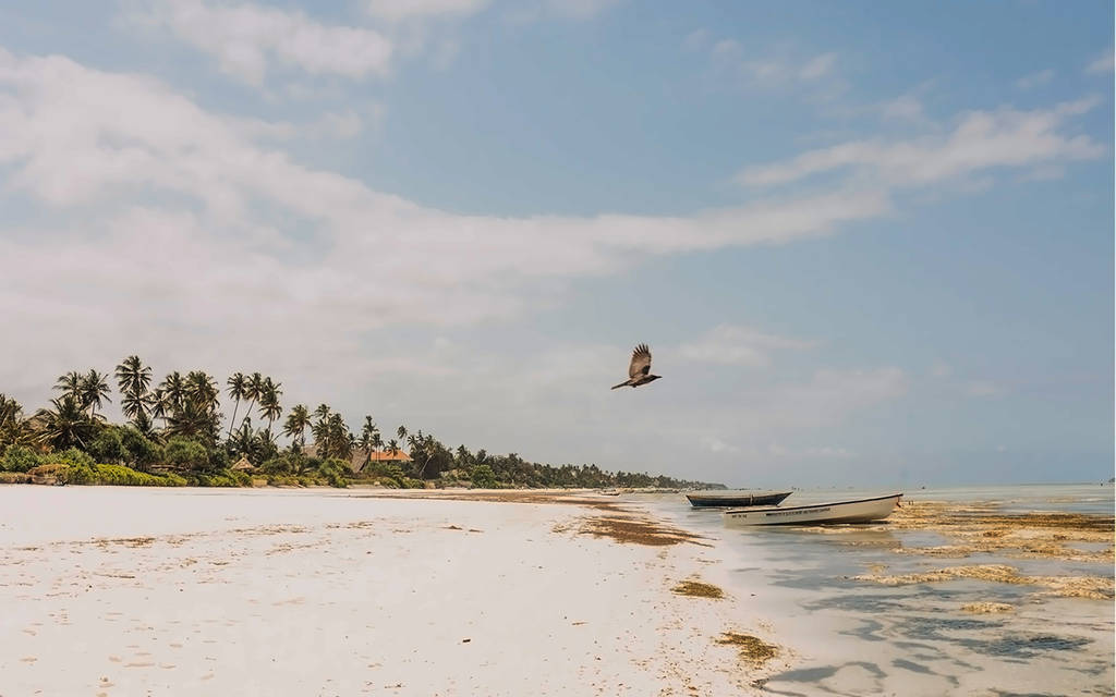 Zanzibar Bahari Villas
