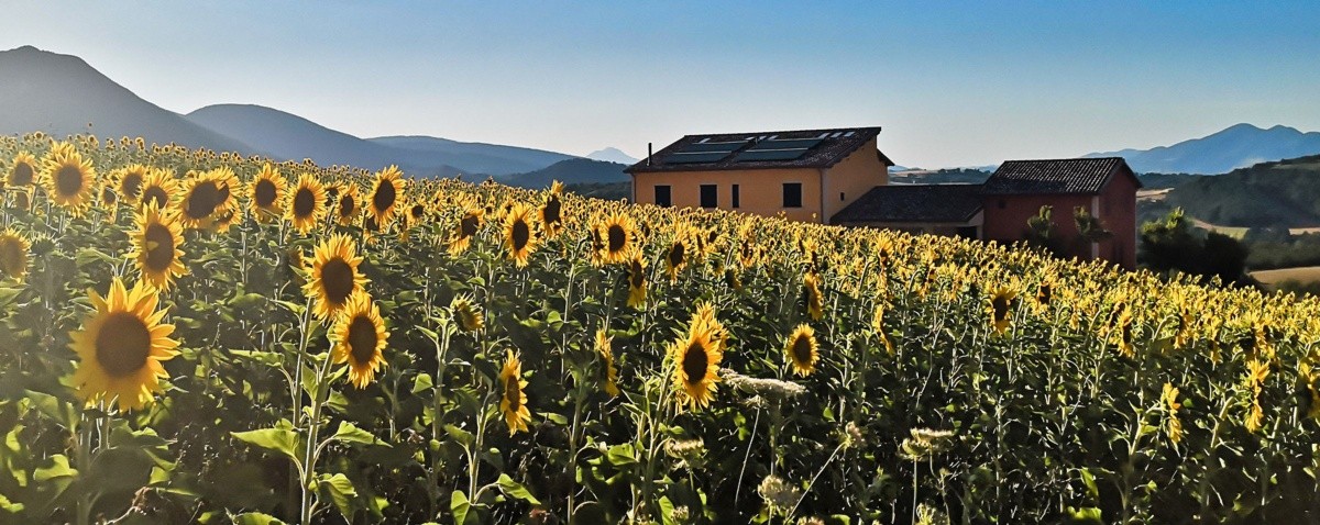 Tenuta Grimaldi Wine Resort
