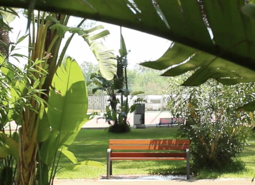 Camping La Vecchia Torre