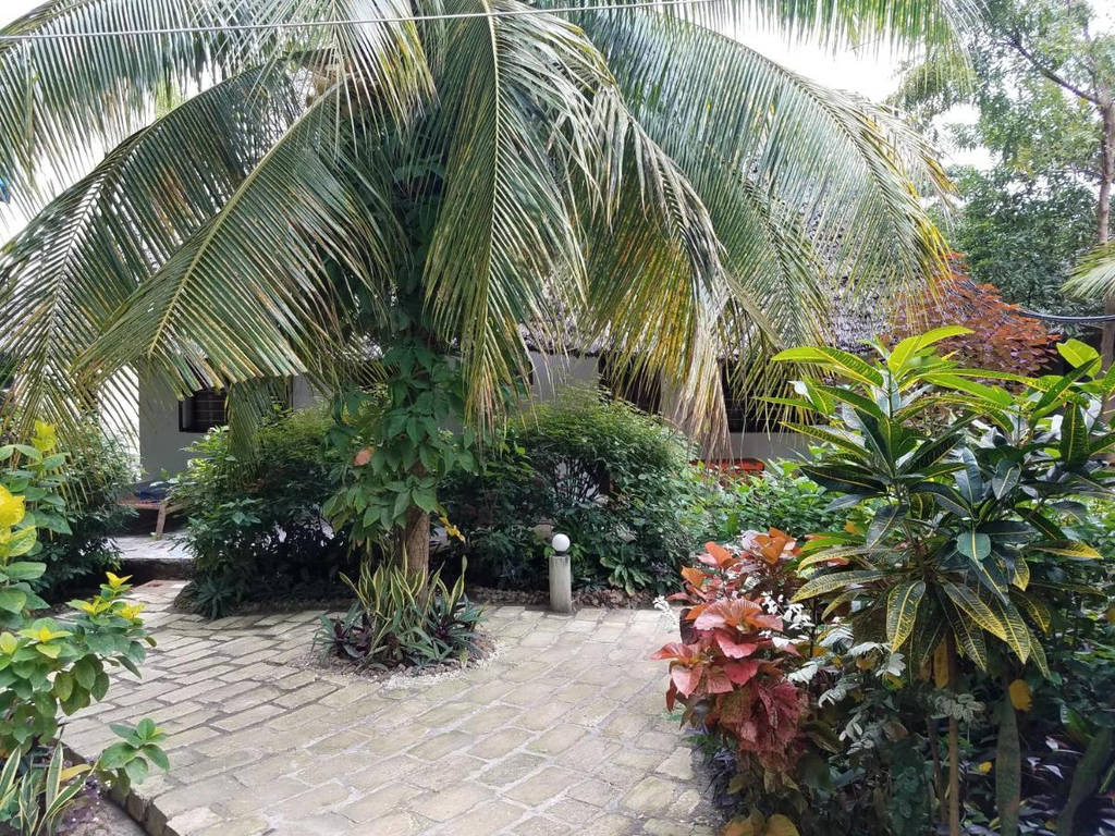 Baraka Beach Bungalows