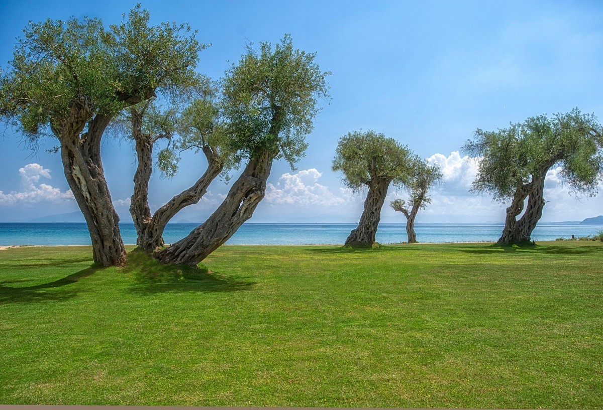 Domes Miramare A Luxury Collection Resort Corfu