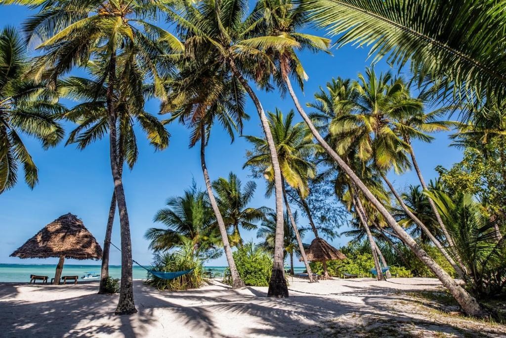 Pongwe Beach