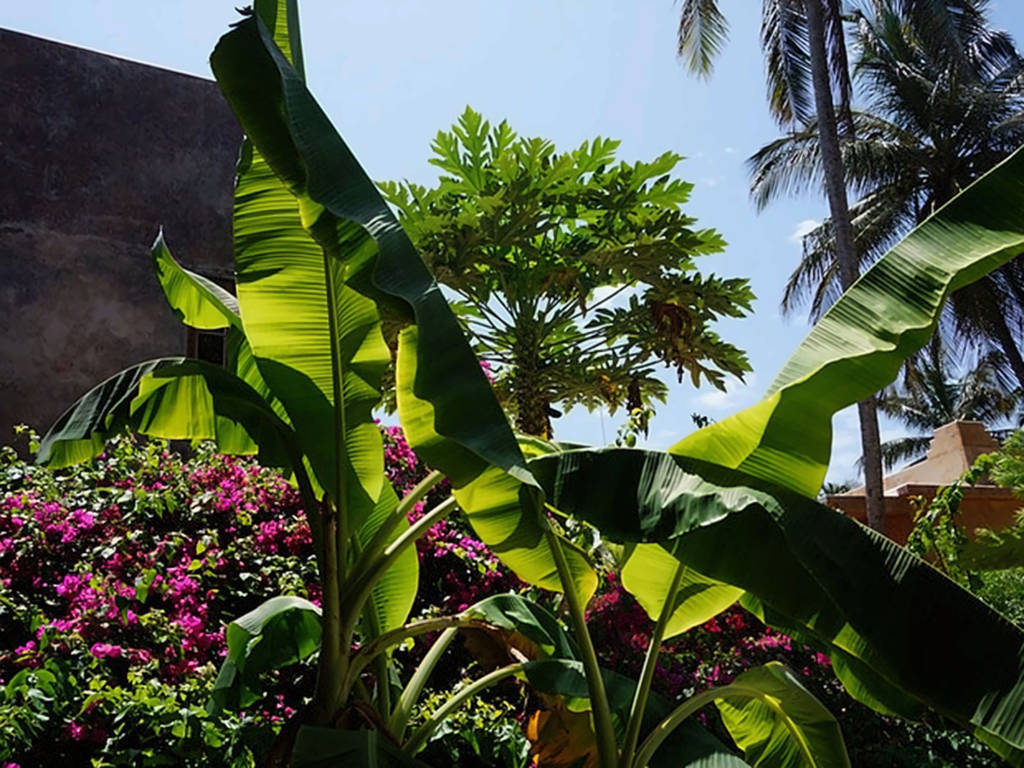 Casa Del Mar Zanzibar
