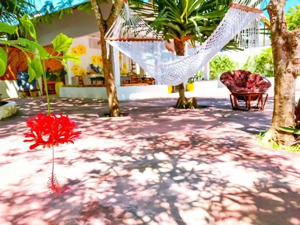 Papaya Guest House Nungwi