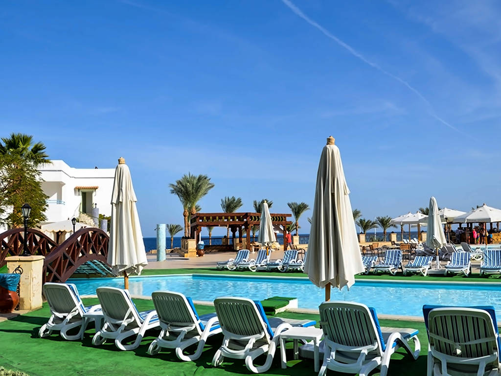 Queen Sharm