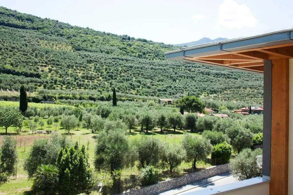 Eco Primavera