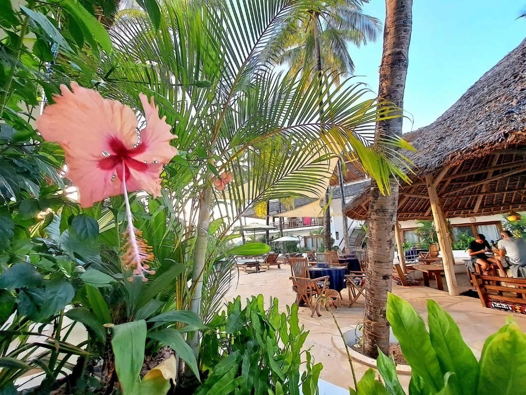 Aluna Zanzibar