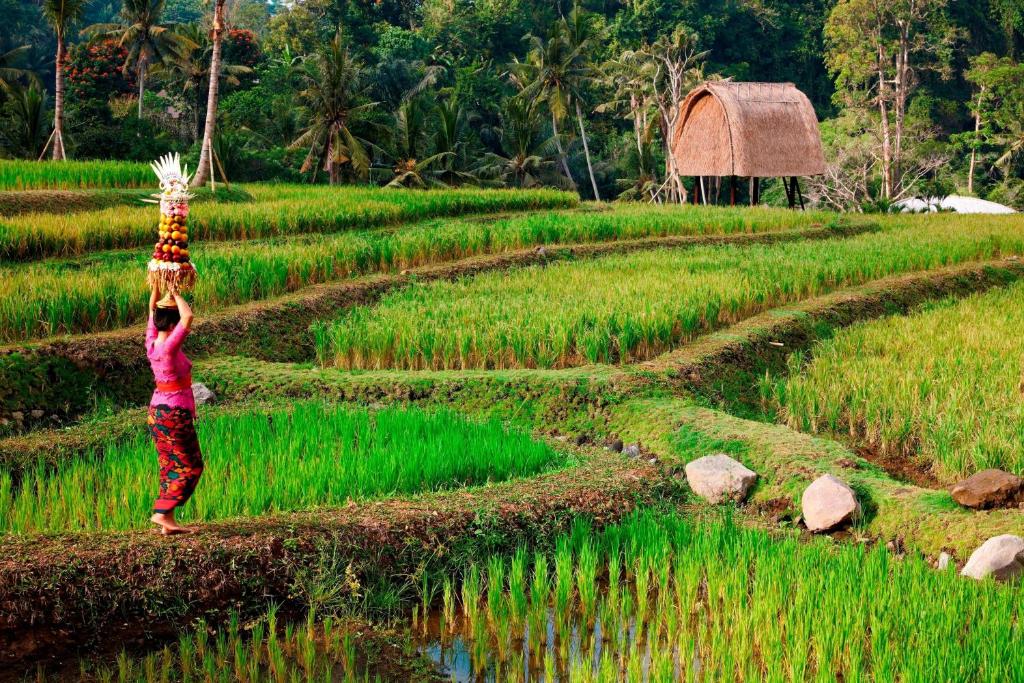 Mandapa, A Ritz-Carlton Reserve