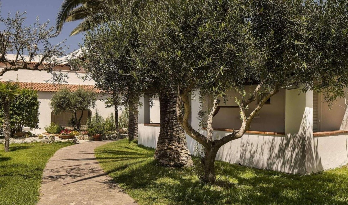Royal Terme Palm
