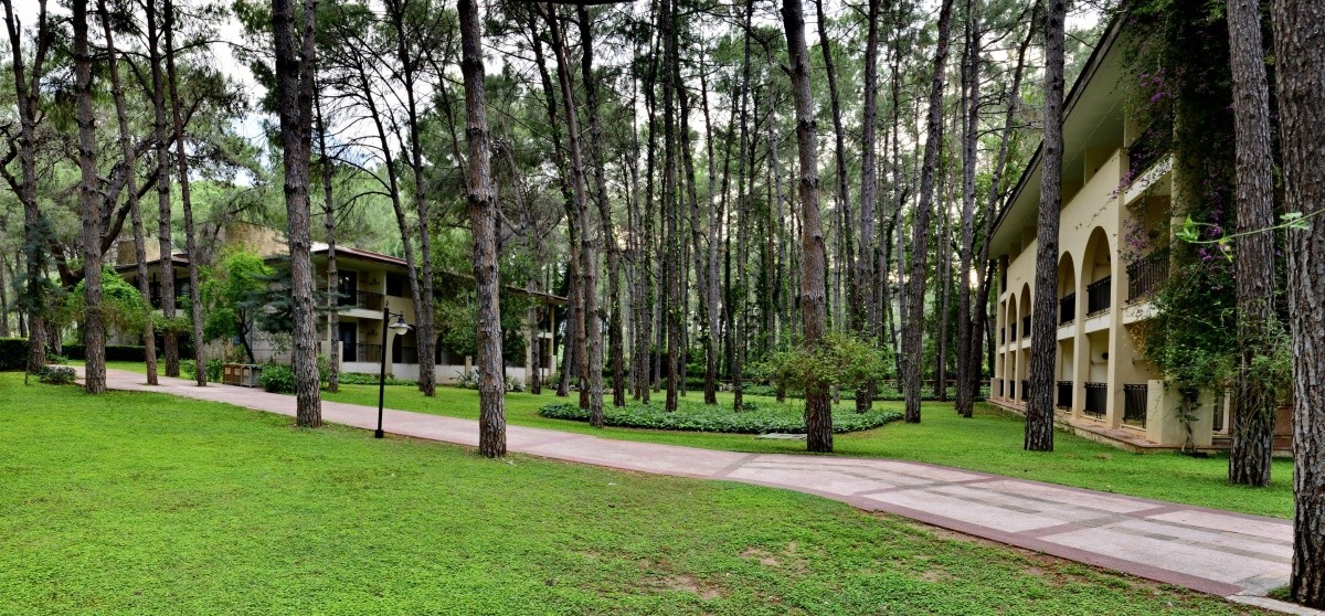 Champion Holiday Village