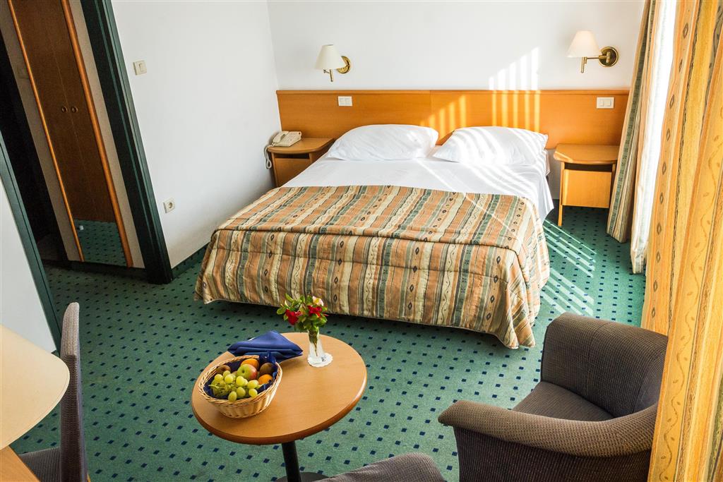 Hotel Vile Park Standard 2026