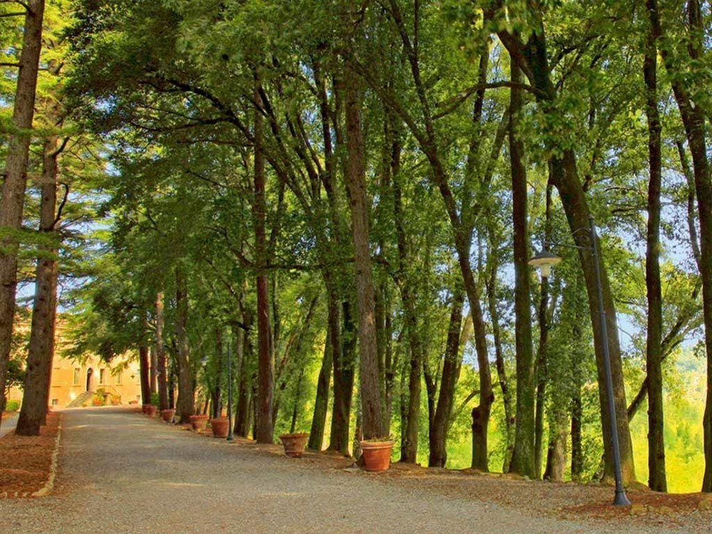Borgo Di Colleoli