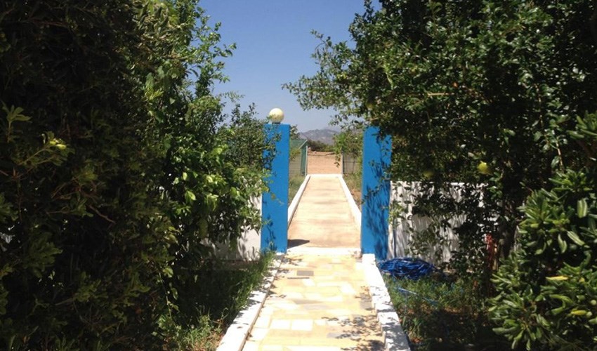 Studia Creta Sun