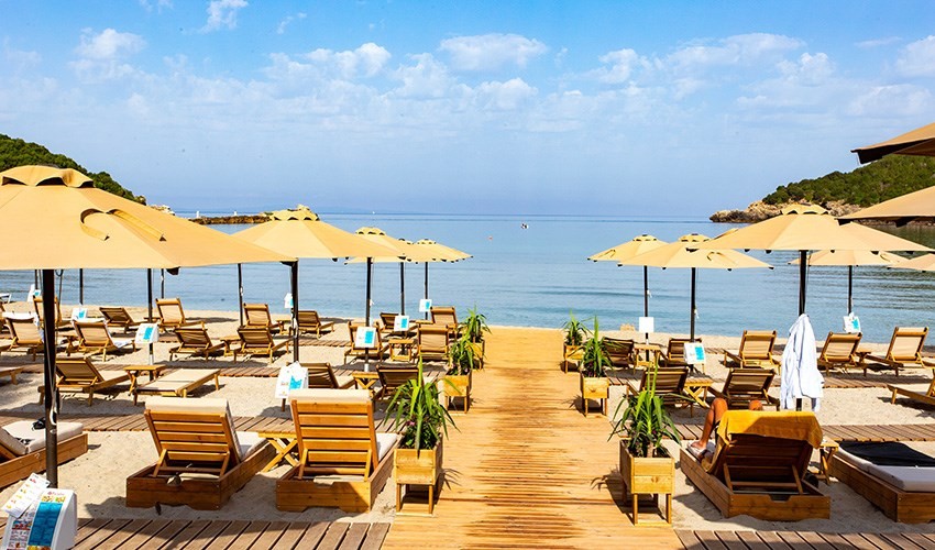Zeus Paradise