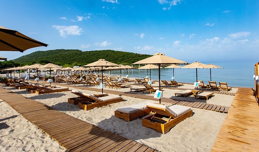 Zeus Paradise