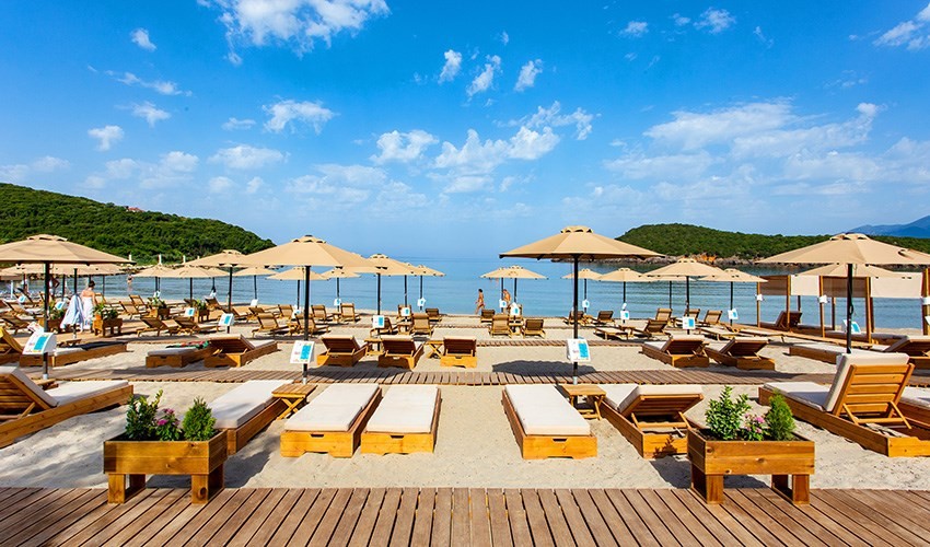 Zeus Paradise