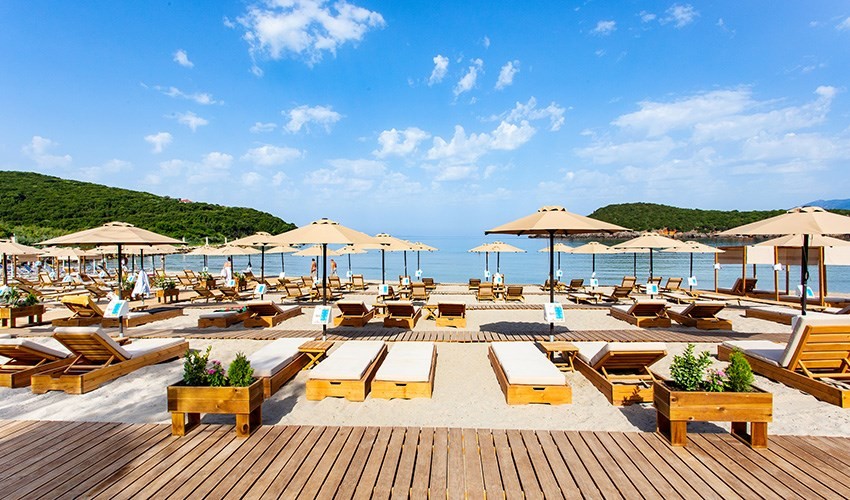 Zeus Paradise