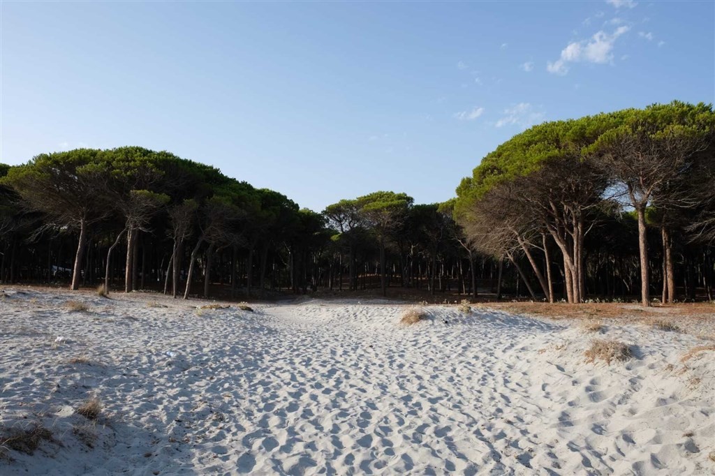 Selema Camping