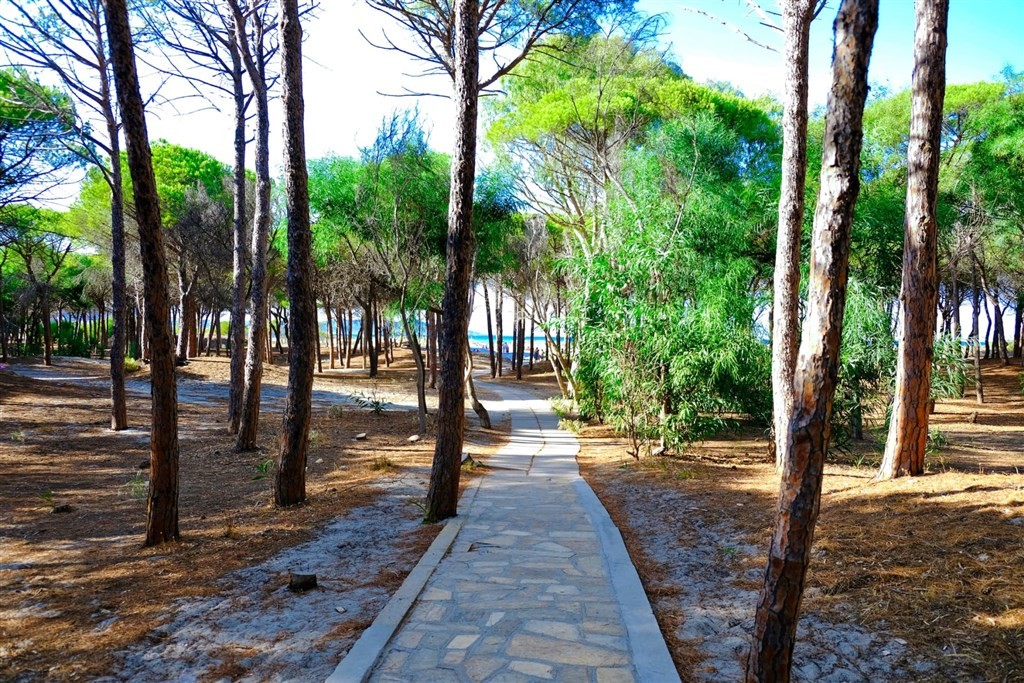 Selema Camping