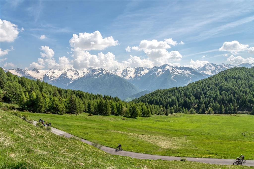 Apartmány Bertuzzi
