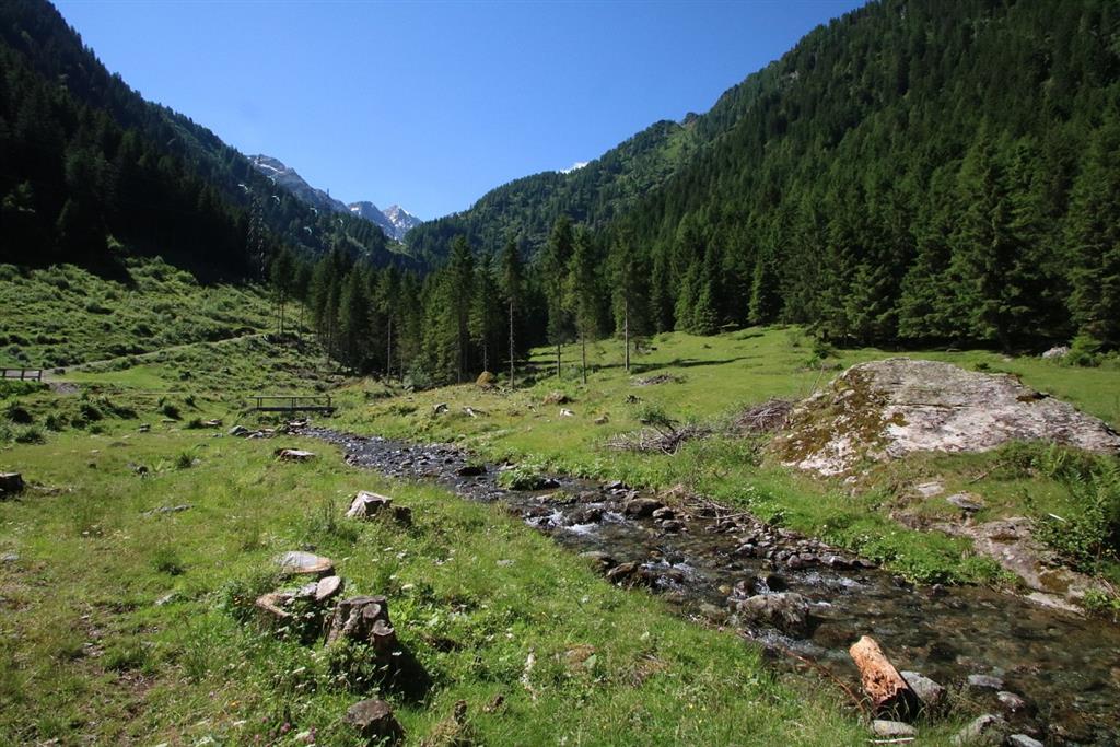 Apartmány Bertuzzi