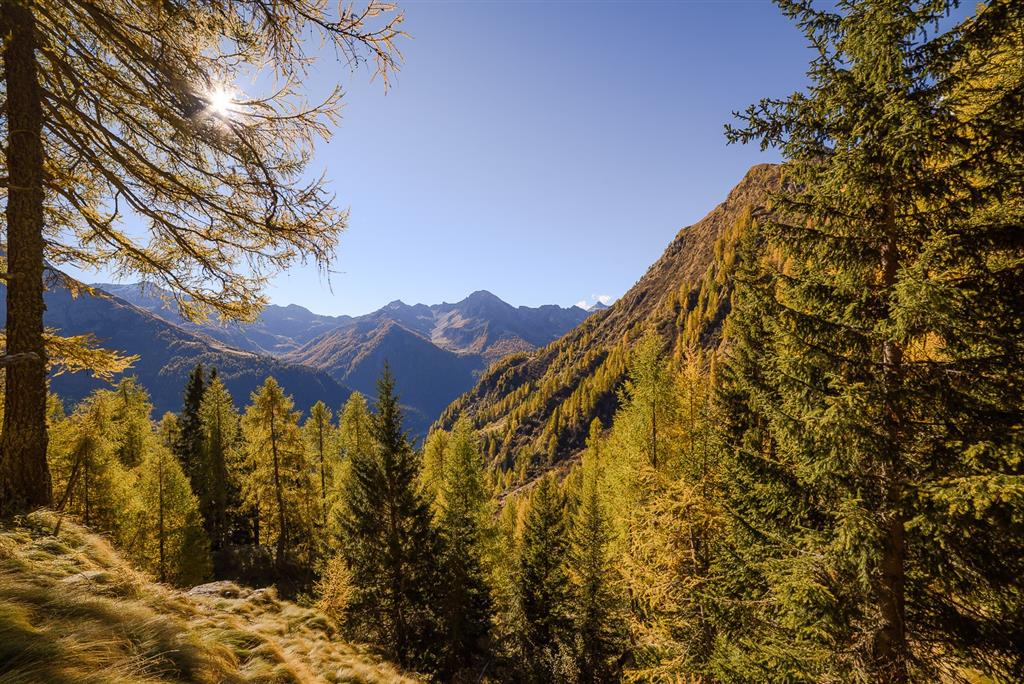 Apartmány Bertuzzi
