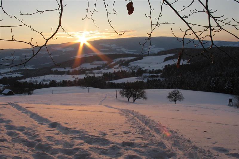 Waldhof Muhr Hotel & Restaurant (Pöllau)