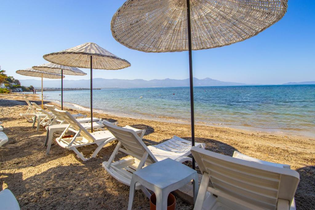 Scalanuova Beach