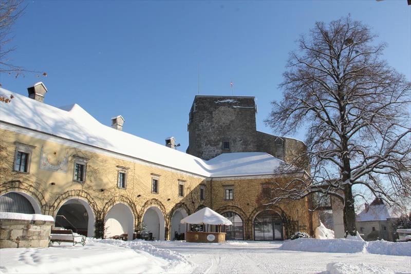Schatz.kammer - Burg Kreuzen (Bad Kreuzen)
