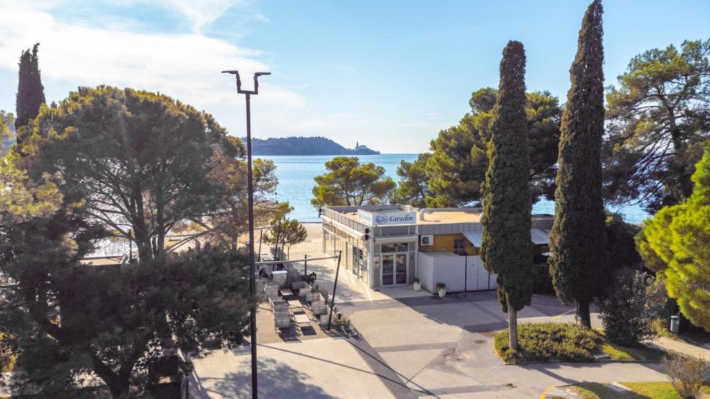 Villy Thalasso Strunjan