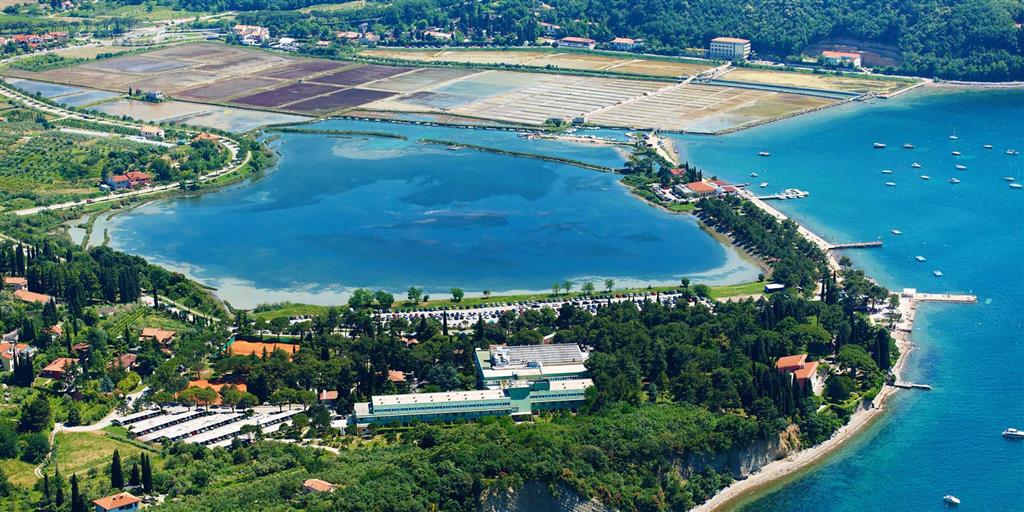 Villy Thalasso Strunjan