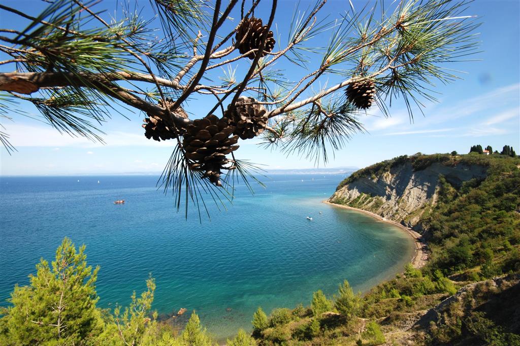 Villy Thalasso Strunjan