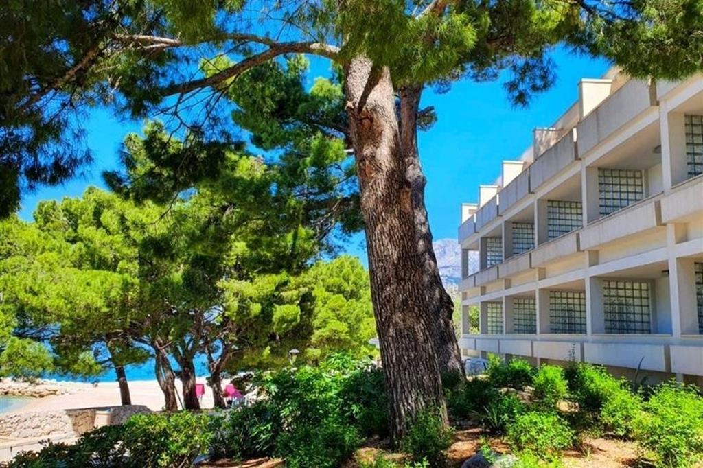 Medora Auri Family Beach Resort