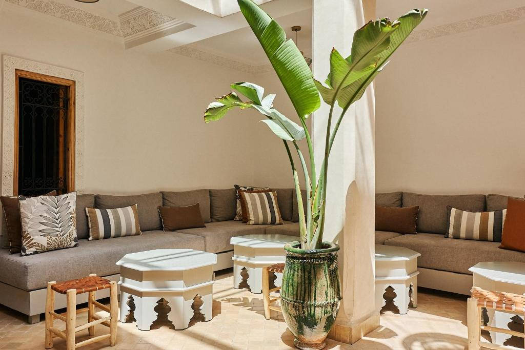 Riad Selyen