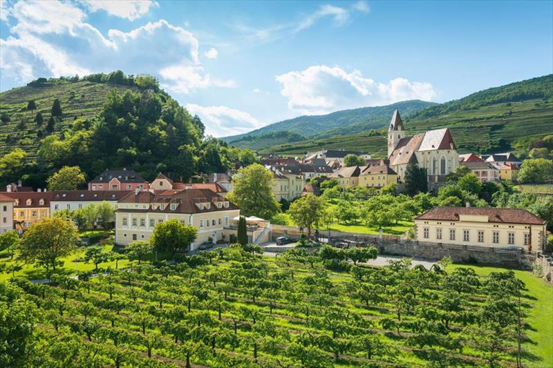 Stierschneider´s Weinhotel Wachau (Spitz)