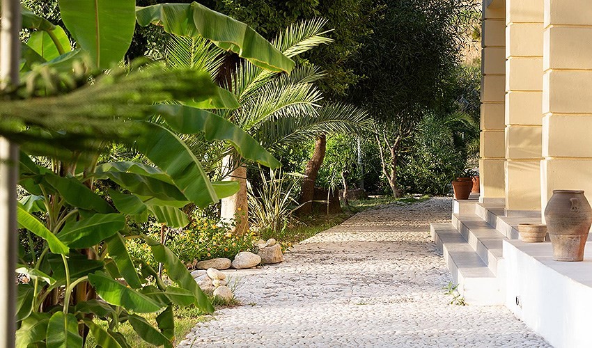 Petani Beach Suites