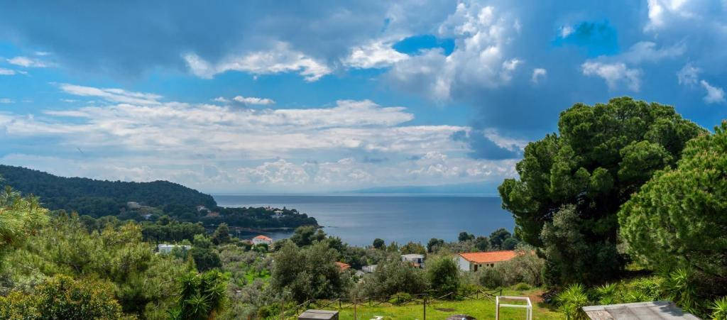 Margi House (Kolios)