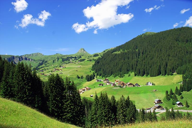 Adler (Damüls)