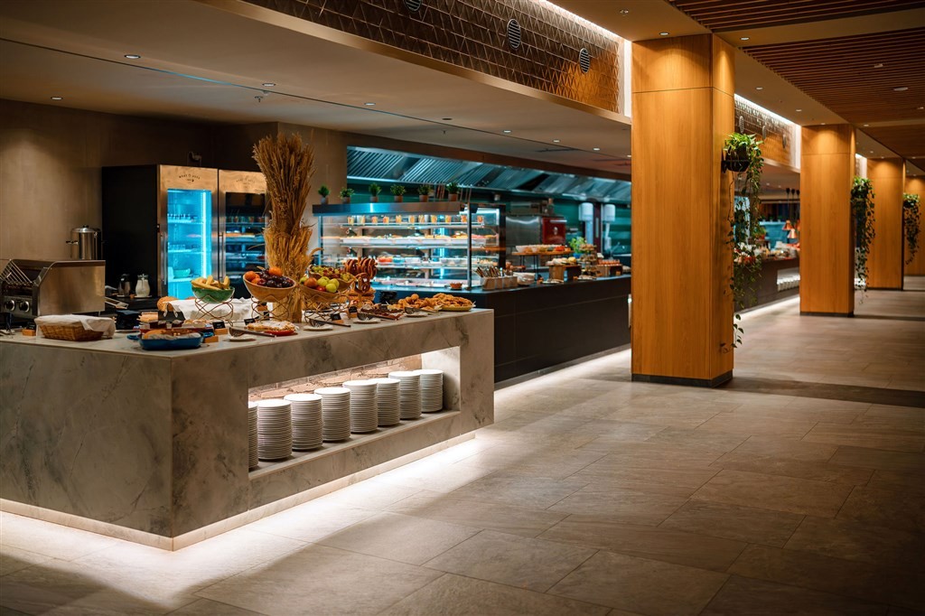 Swissotel Damian Jasna