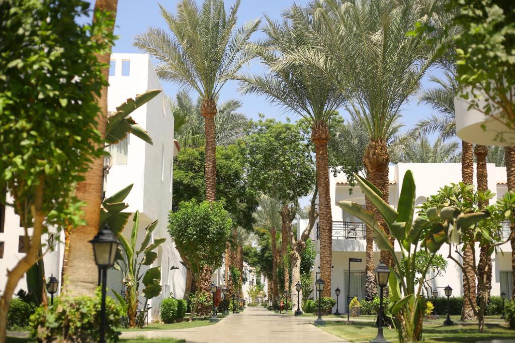 Jaz Fanara Residence