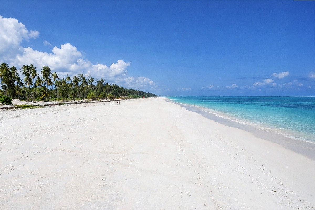 Kappa Senses Zanzibar