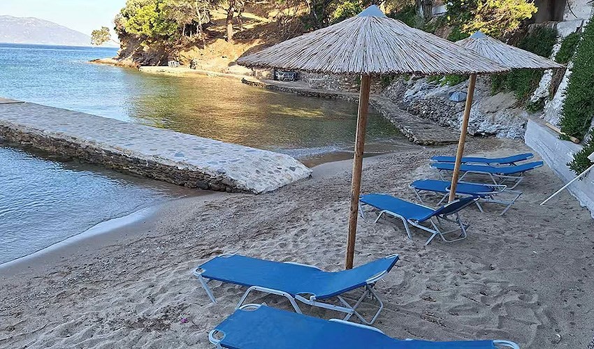 Studia Limnionas