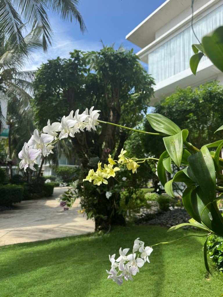 Villa Del Sol Beach Villas & Spa