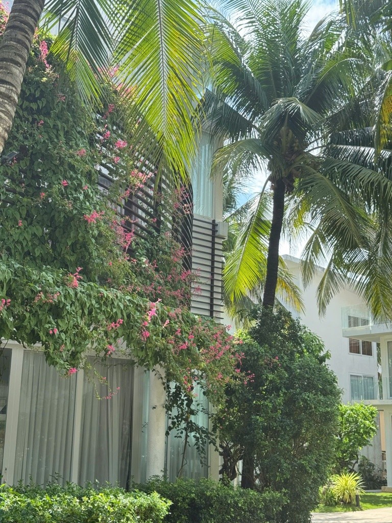 Villa Del Sol Beach Villas & Spa