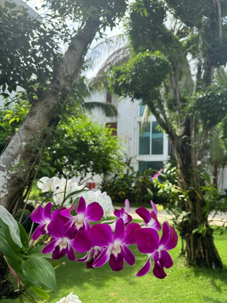 Villa Del Sol Beach Villas & Spa