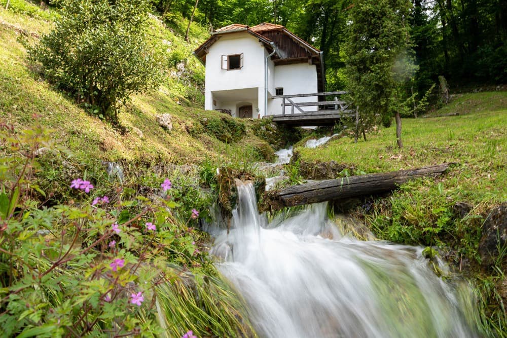 Terme Topolsica