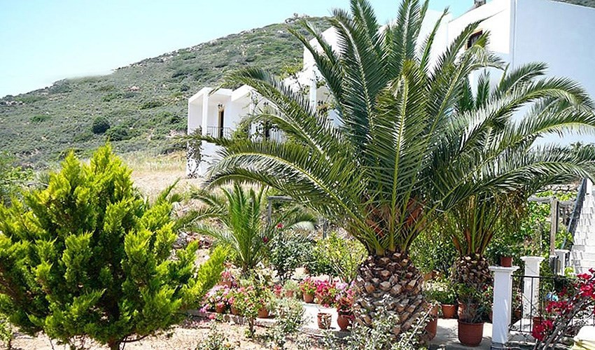 Porto Potha (Telendos)