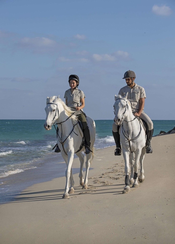 Anantara Desert Islands (Sir Bani Yas Island)