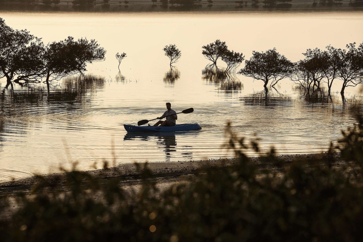 Anantara Desert Islands (Sir Bani Yas Island)