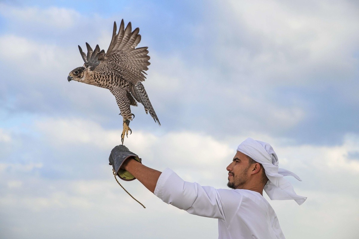 Anantara Desert Islands (Sir Bani Yas Island)
